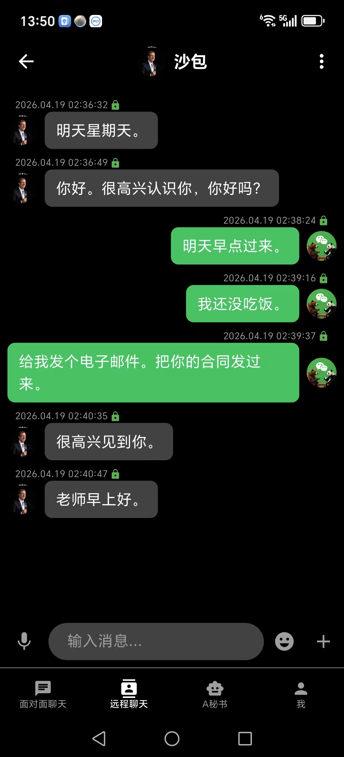 聊天界面（中文）